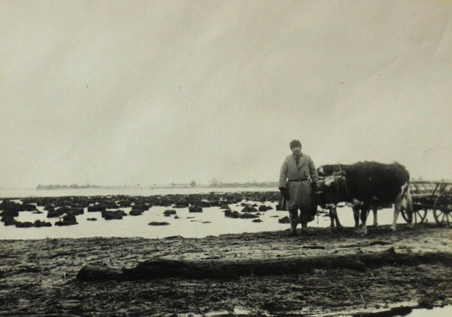 Озеро на Волині, 1916 р.